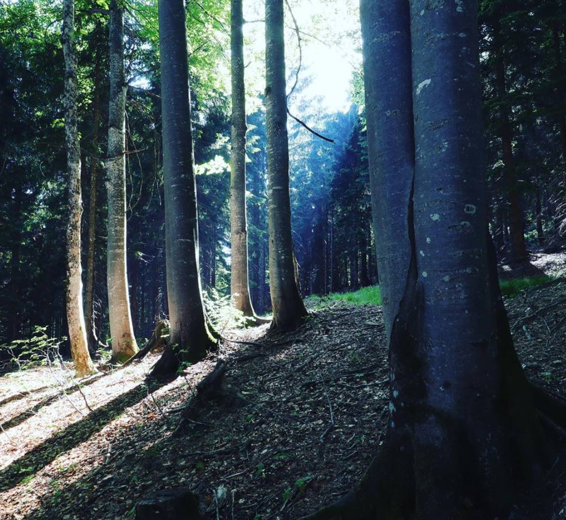 Reini Rossmann Bushcraft Camping ueberlebenskunst.at