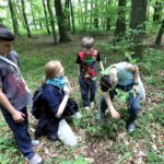 Kinder-Kräuter-Tag: Gruppe Kinder untersucht Pflanzen im Wald