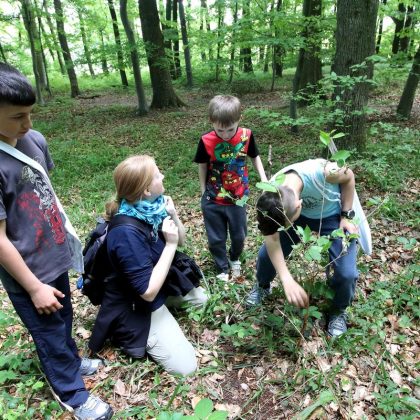 Kinder-Kräuter-Tag: Gruppe Kinder untersucht Pflanzen im Wald
